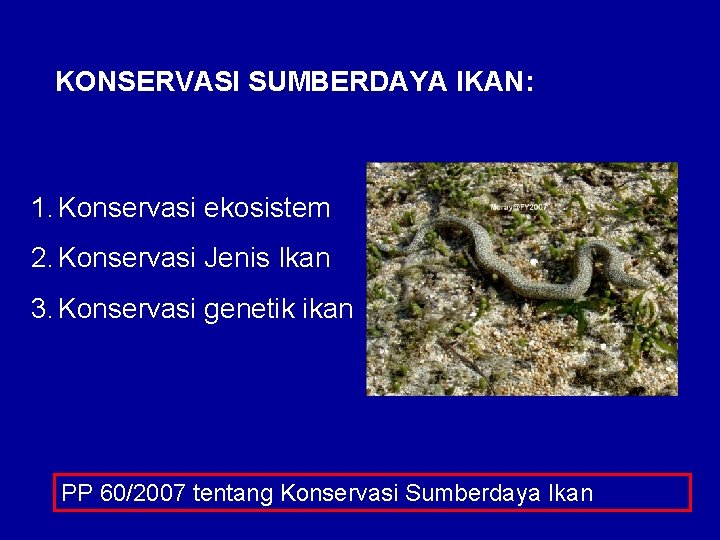 KONSERVASI SUMBERDAYA IKAN: 1. Konservasi ekosistem 2. Konservasi Jenis Ikan 3. Konservasi genetik ikan