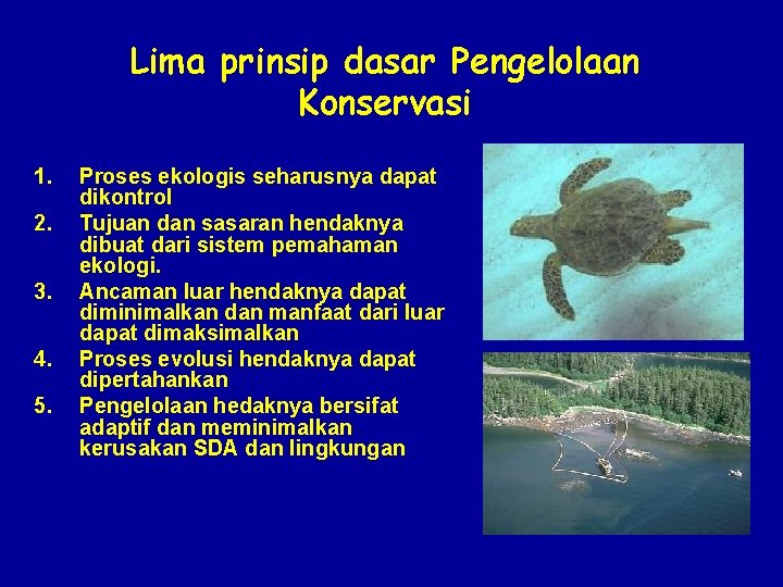 Lima prinsip dasar Pengelolaan Konservasi 1. 2. 3. 4. 5. Proses ekologis seharusnya dapat