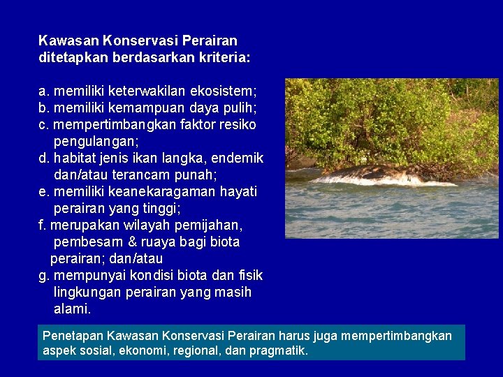 Kawasan Konservasi Perairan ditetapkan berdasarkan kriteria: a. memiliki keterwakilan ekosistem; b. memiliki kemampuan daya