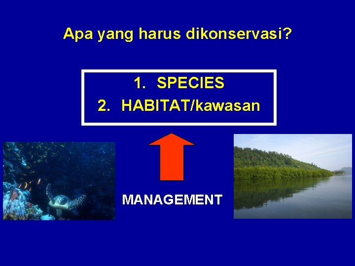 Apa yang harus dikonservasi? 1. SPECIES 2. HABITAT/kawasan MANAGEMENT 