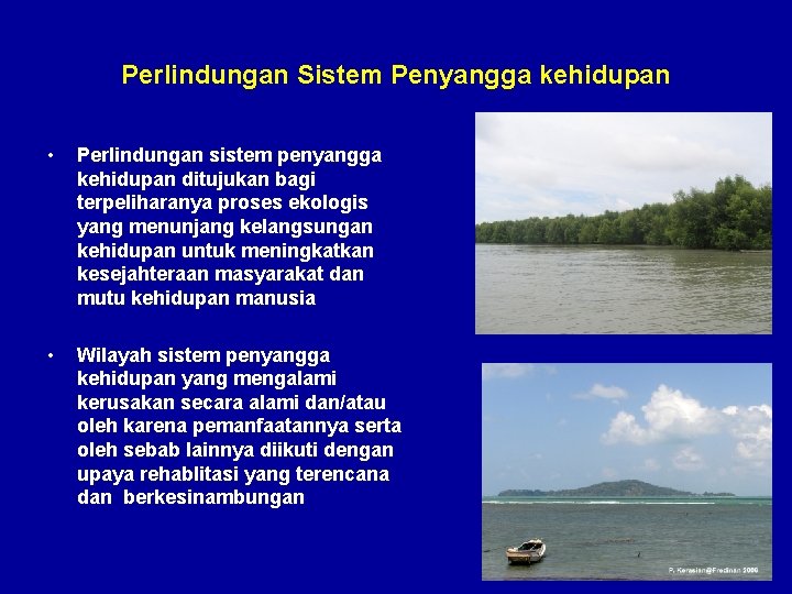 Perlindungan Sistem Penyangga kehidupan • Perlindungan sistem penyangga kehidupan ditujukan bagi terpeliharanya proses ekologis