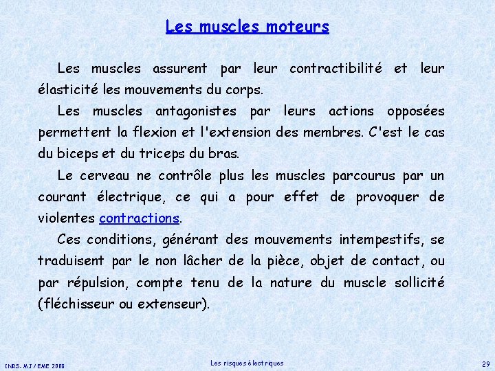Les muscles moteurs Les muscles assurent par leur contractibilité et leur élasticité les mouvements