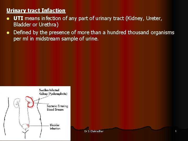 Urinary tract Infaction l UTI means infection of any part of urinary tract (Kidney,