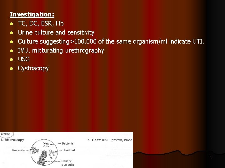 Investigation: l TC, DC, ESR, Hb l Urine culture and sensitivity l Culture suggesting>100,