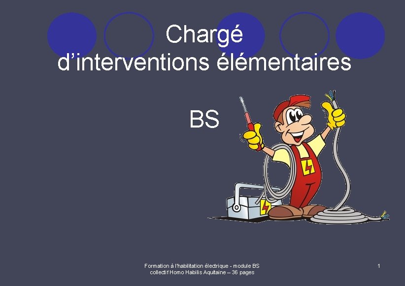 Chargé d’interventions élémentaires BS Formation à l'habilitation électrique - module BS collectif Homo Habilis