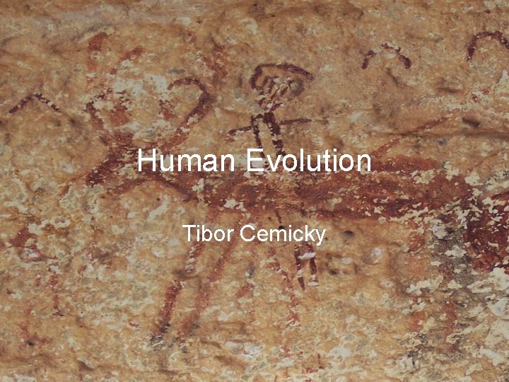 Human Evolution Tibor Cemicky 