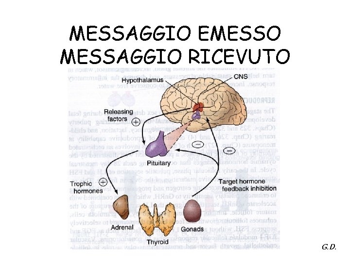 MESSAGGIO EMESSO MESSAGGIO RICEVUTO G. D. 