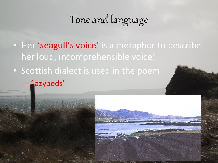 Tone and language • Her ‘seagull’s voice’ is a metaphor to describe her loud,