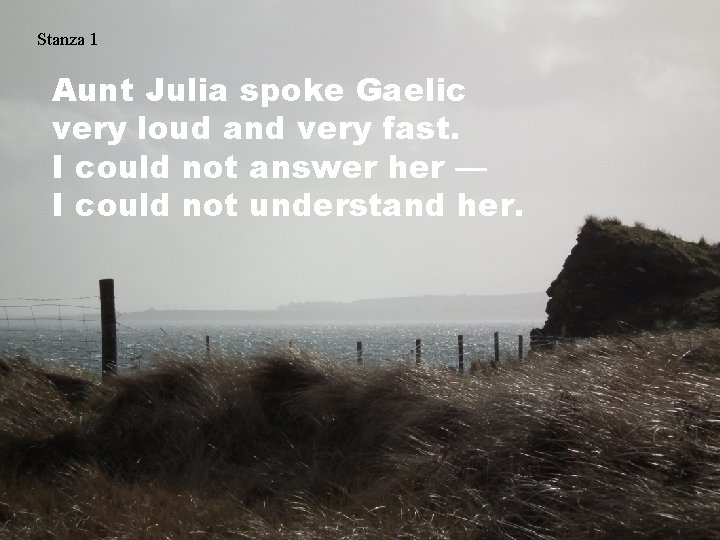 Stanza 1 Aunt Julia spoke Gaelic very loud and very fast. I could not