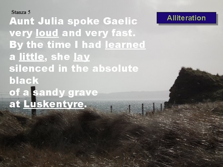 Stanza 5 Aunt Julia spoke Gaelic very loud and very fast. By the time