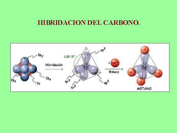 HIBRIDACION DEL CARBONO. 