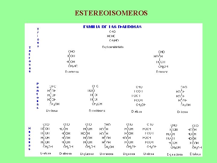 ESTEREOISOMEROS 