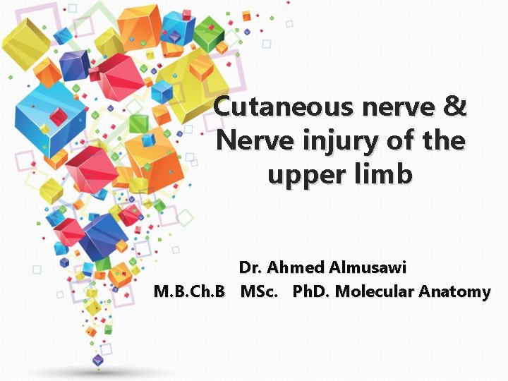 Cutaneous nerve & Nerve injury of the upper limb Dr. Ahmed Almusawi M. B.