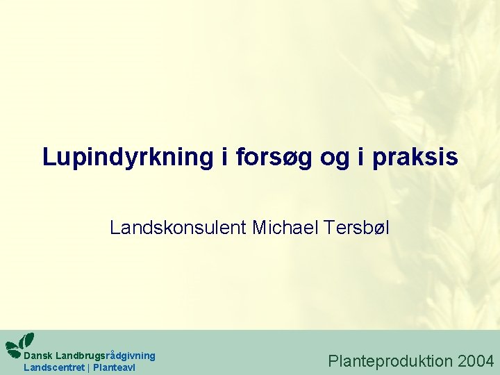 Lupindyrkning i forsøg og i praksis Landskonsulent Michael Tersbøl Dansk Landbrugsrådgivning Landscentret | Planteavl