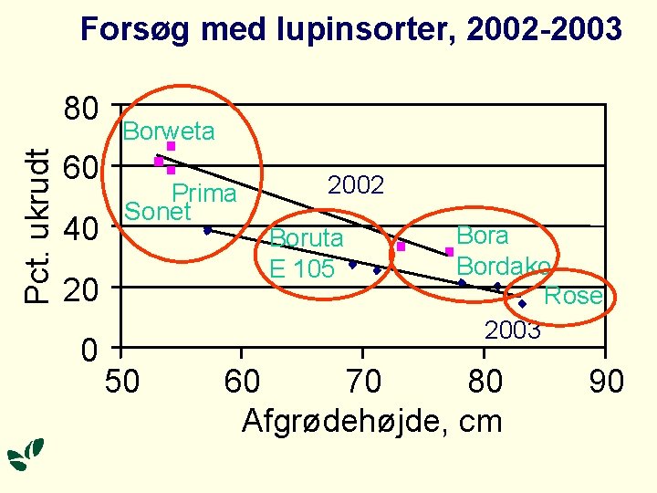 Forsøg med lupinsorter, 2002 -2003 Pct. ukrudt 80 60 40 Borweta Prima Sonet 20