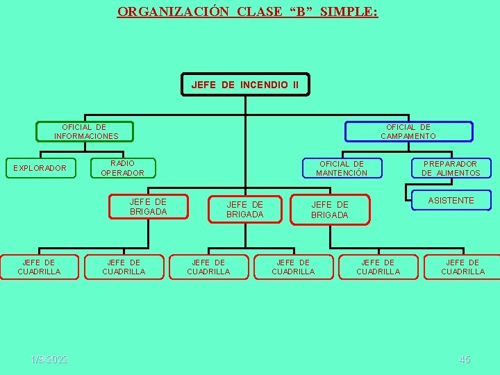 ORGANIZACIÓN CLASE “B” SIMPLE: JEFE DE INCENDIO II OFICIAL DE INFORMACIONES EXPLORADOR OFICIAL DE