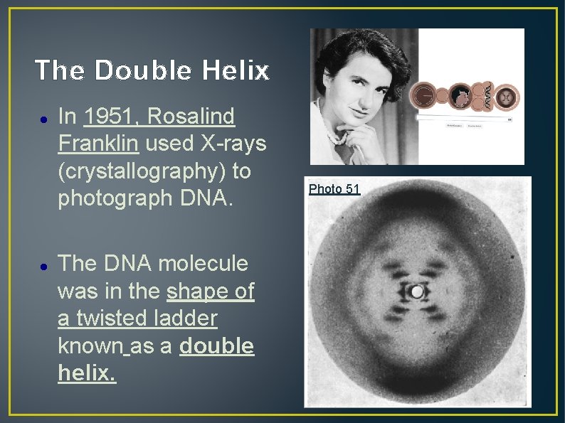 The Double Helix In 1951, Rosalind Franklin used X-rays (crystallography) to photograph DNA. The