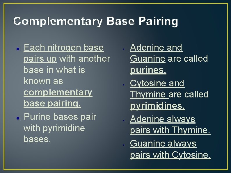 Complementary Base Pairing Each nitrogen base pairs up with another base in what is