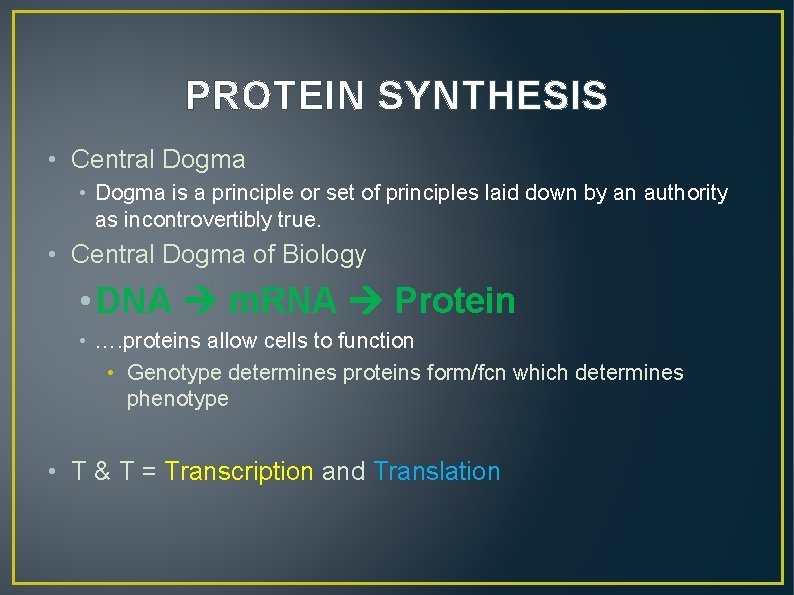 PROTEIN SYNTHESIS • Central Dogma • Dogma is a principle or set of principles