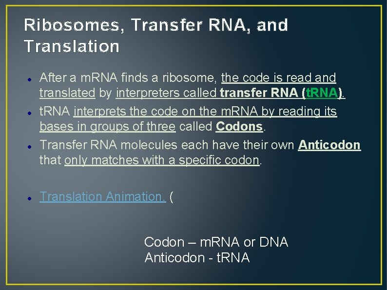 Ribosomes, Transfer RNA, and Translation After a m. RNA finds a ribosome, the code