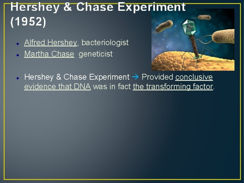 Hershey & Chase Experiment (1952) Alfred Hershey, bacteriologist Martha Chase geneticist Hershey & Chase