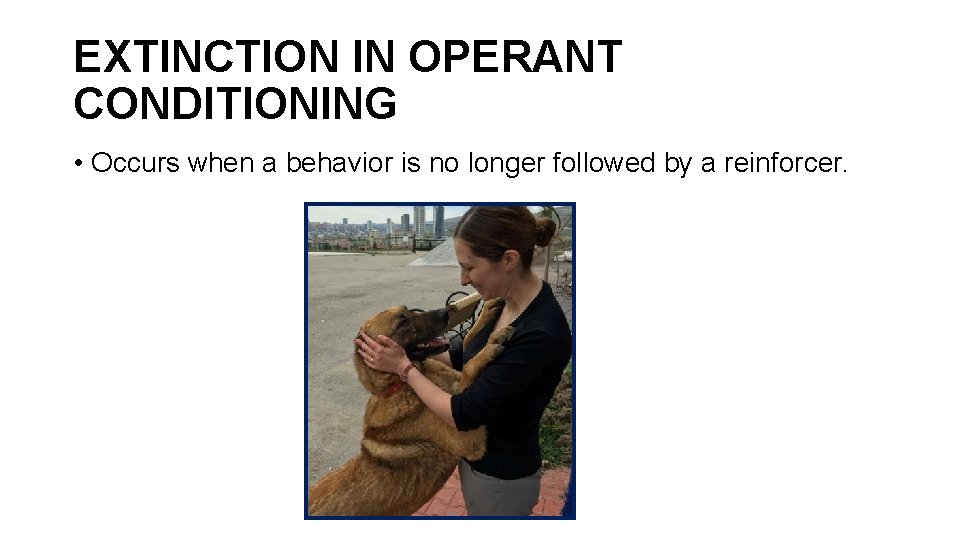 EXTINCTION IN OPERANT CONDITIONING • Occurs when a behavior is no longer followed by