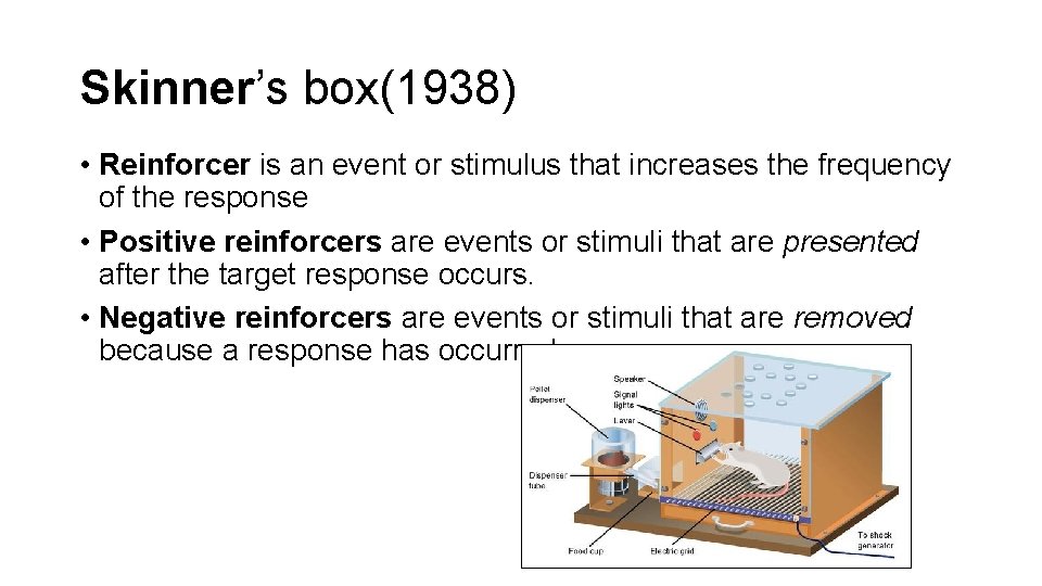 Skinner’s box(1938) • Reinforcer is an event or stimulus that increases the frequency of