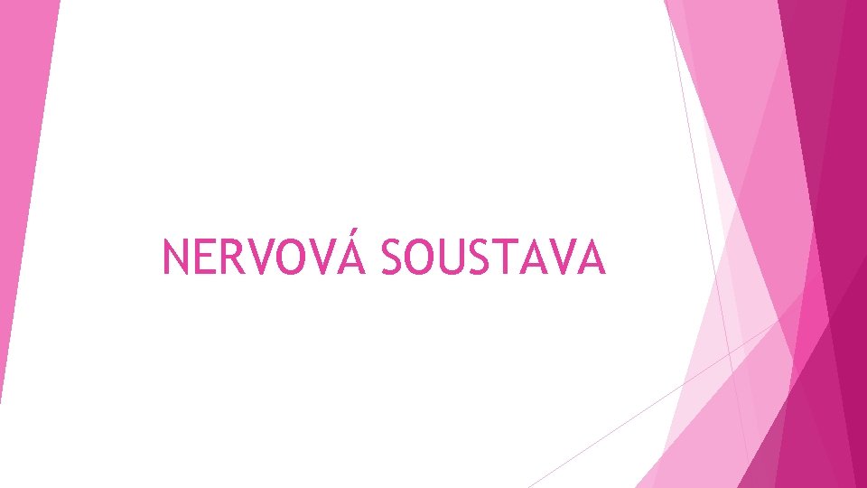 NERVOVÁ SOUSTAVA 