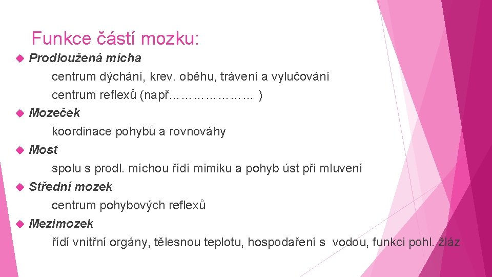 Funkce částí mozku: Prodloužená mícha centrum dýchání, krev. oběhu, trávení a vylučování centrum reflexů