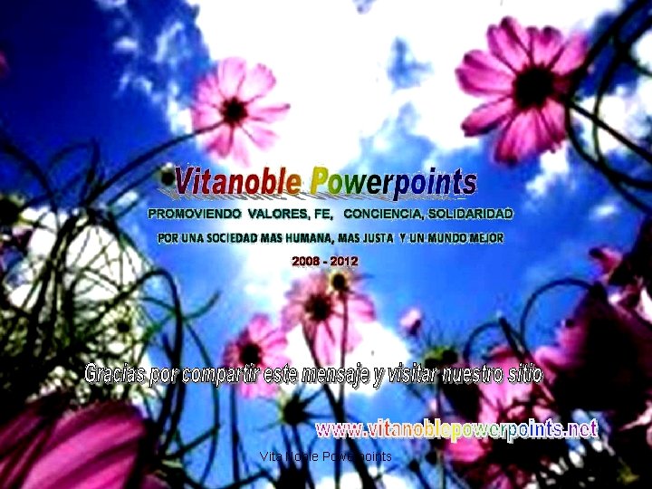 Vita Noble Powerpoints 