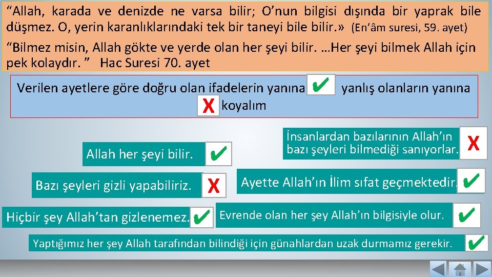 “Allah, karada ve denizde ne varsa bilir; O’nun bilgisi dışında bir yaprak bile düşmez.