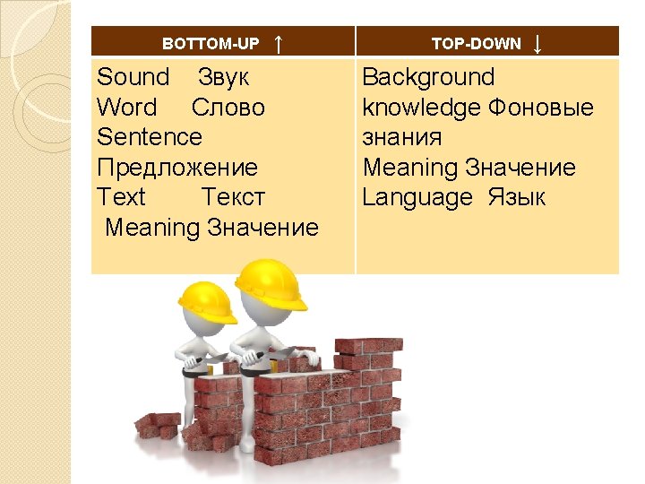 BOTTOM-UP ↑ Sound Звук Word Слово Sentence Предложение Text Текст Meaning Значение TOP-DOWN ↓