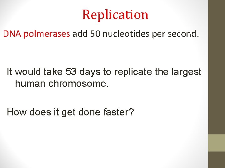 Replication DNA polmerases add 50 nucleotides per second. It would take 53 days to