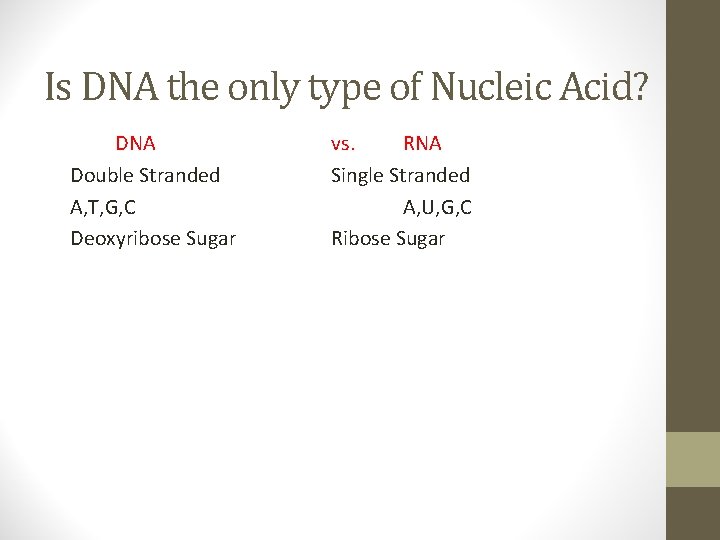 Is DNA the only type of Nucleic Acid? DNA Double Stranded A, T, G,