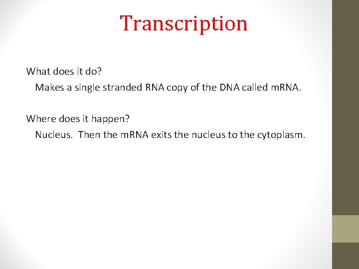 Transcription What does it do? Makes a single stranded RNA copy of the DNA