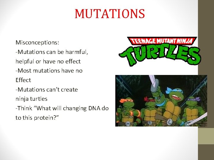 MUTATIONS Misconceptions: -Mutations can be harmful, helpful or have no effect -Most mutations have