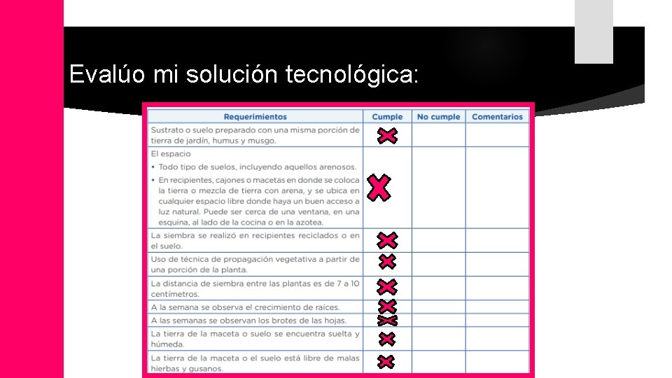 Evalúo mi solución tecnológica: 