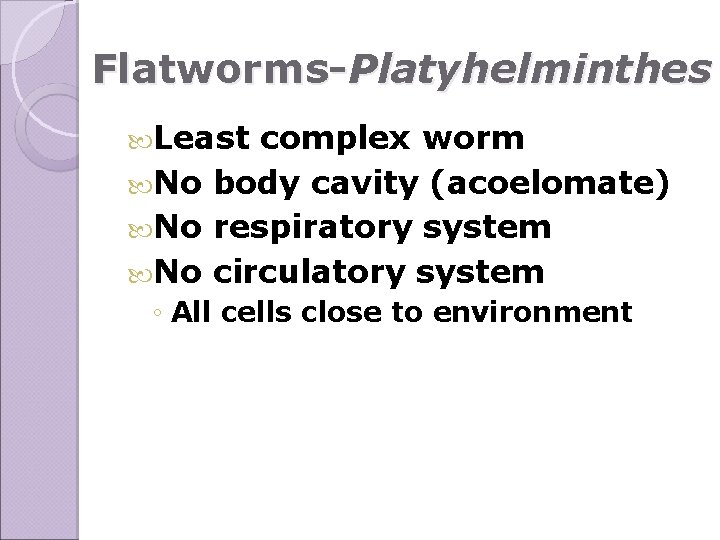 Flatworms-Platyhelminthes Least complex worm No body cavity (acoelomate) No respiratory system No circulatory system