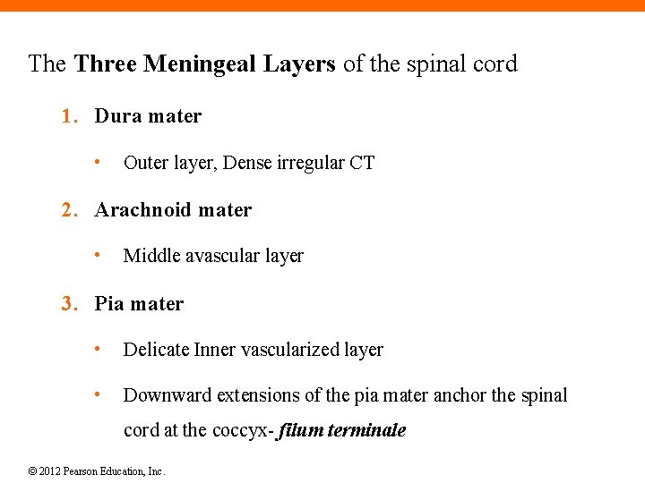 The Three Meningeal Layers of the spinal cord 1. Dura mater • Outer layer,