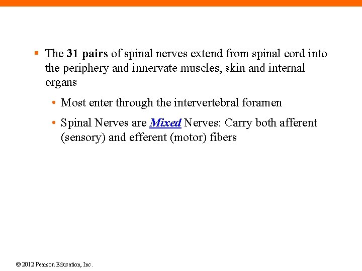 § The 31 pairs of spinal nerves extend from spinal cord into the periphery