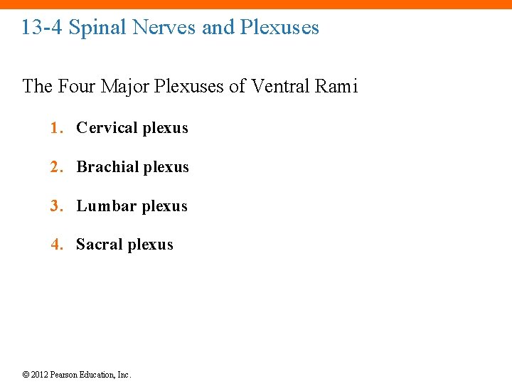 13 -4 Spinal Nerves and Plexuses The Four Major Plexuses of Ventral Rami 1.