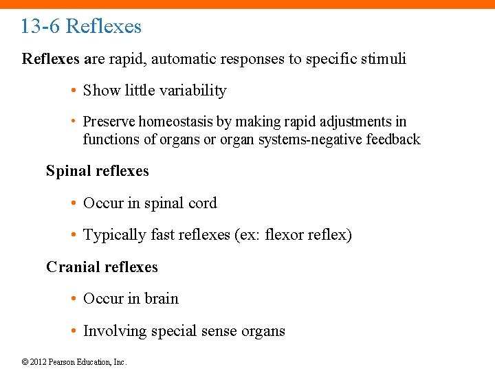 13 -6 Reflexes are rapid, automatic responses to specific stimuli • Show little variability