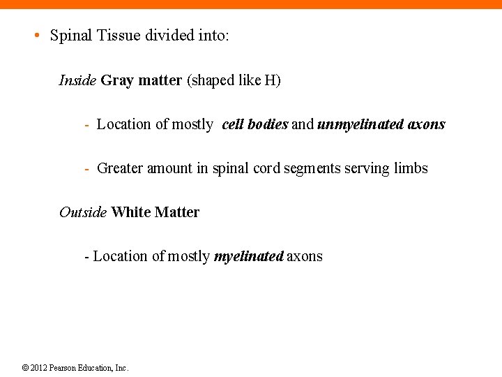  • Spinal Tissue divided into: Inside Gray matter (shaped like H) - Location