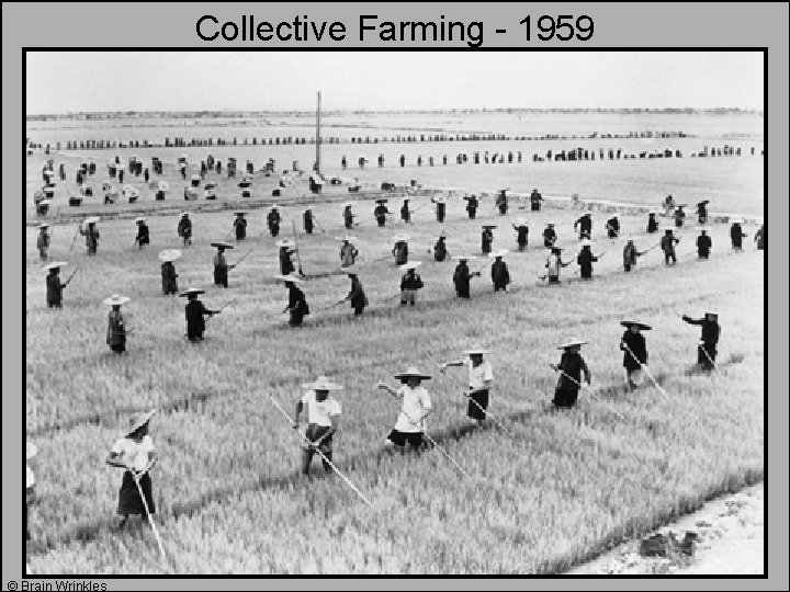Collective Farming - 1959 © Brain Wrinkles Collective Farming - 1959 © Brain Wrinkles