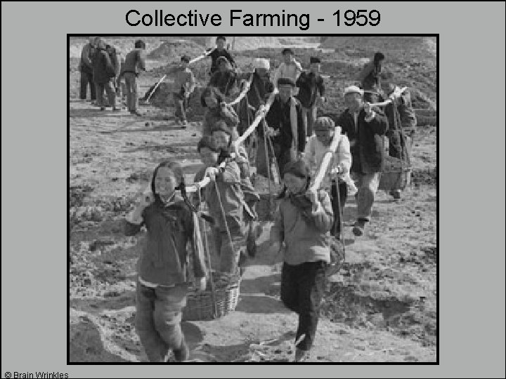 Collective Farming - 1959 © Brain Wrinkles Collective Farming - 1959 © Brain Wrinkles