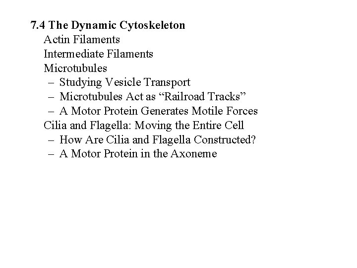 7. 4 The Dynamic Cytoskeleton Actin Filaments Intermediate Filaments Microtubules – Studying Vesicle Transport