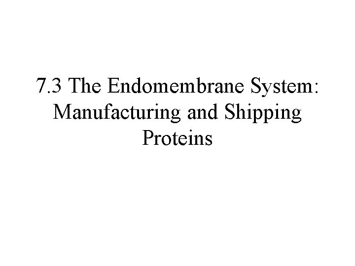 7. 3 The Endomembrane System: Manufacturing and Shipping Proteins 