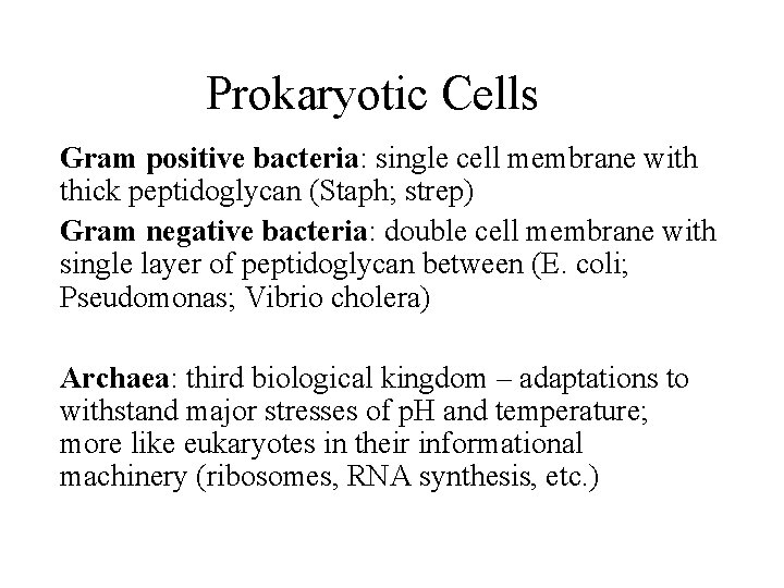 Prokaryotic Cells Gram positive bacteria: single cell membrane with thick peptidoglycan (Staph; strep) Gram