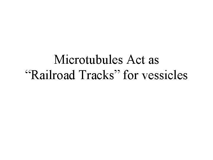 Microtubules Act as “Railroad Tracks” for vessicles 