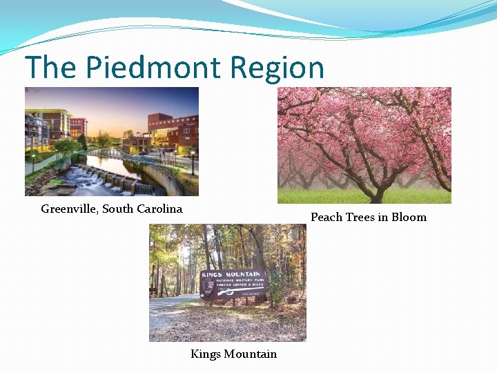 The Piedmont Region Greenville, South Carolina Peach Trees in Bloom Kings Mountain 